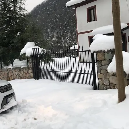 Bayanlara Ve Ailelerle Oezel Muestakil Muhafazakar Alkolsuez Havuzlu 4*