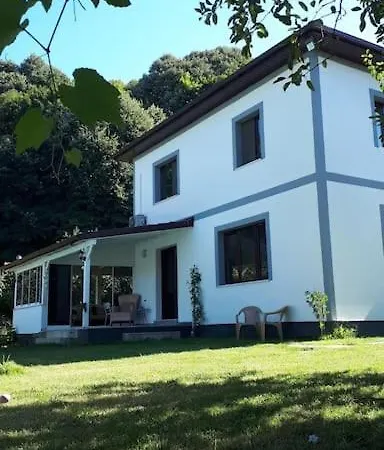 Bayanlara Ve Ailelerle Oezel Muestakil Muhafazakar Alkolsuez Havuzlu 4*