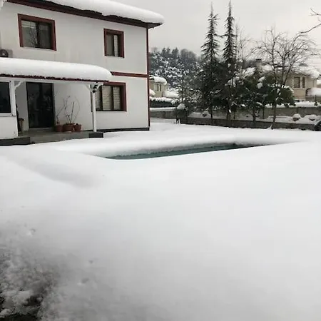 Bayanlara Ve Ailelerle Oezel Muestakil Muhafazakar Alkolsuez Havuzlu Yanık